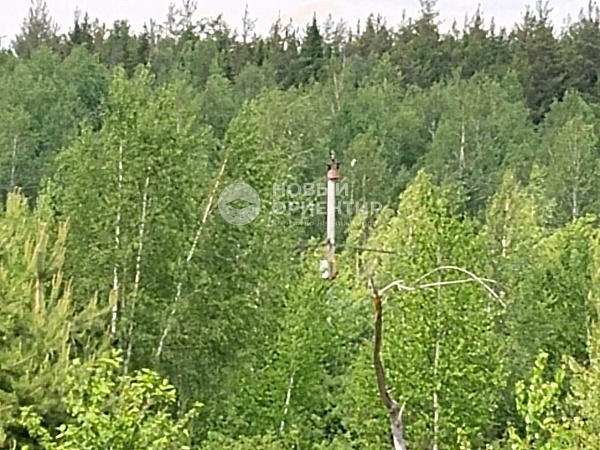 Объявление 221-10746