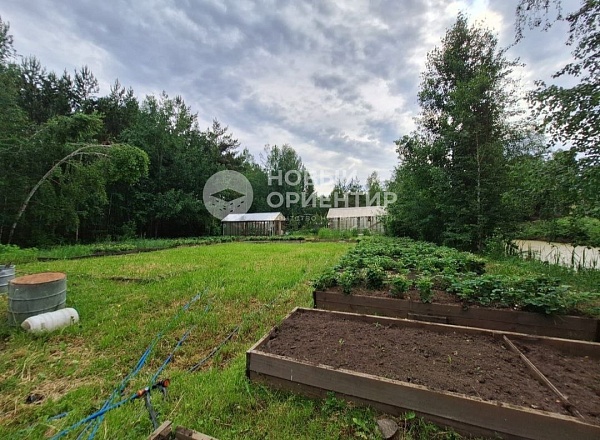 Объявление 221-12263