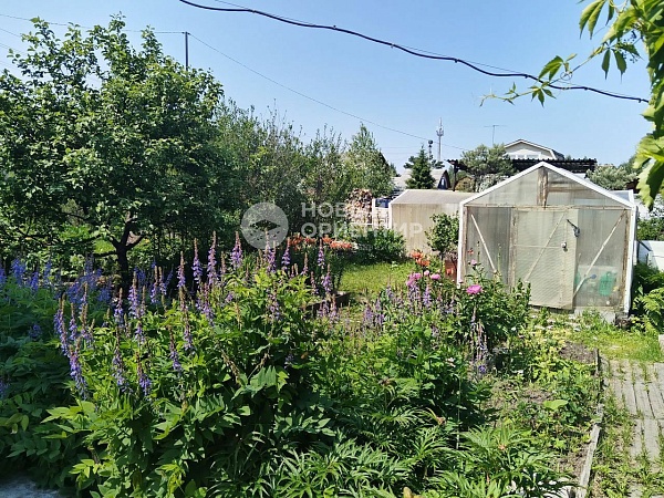 Объявление 221-12259