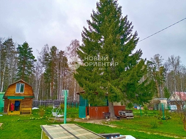 Объявление 221-10919