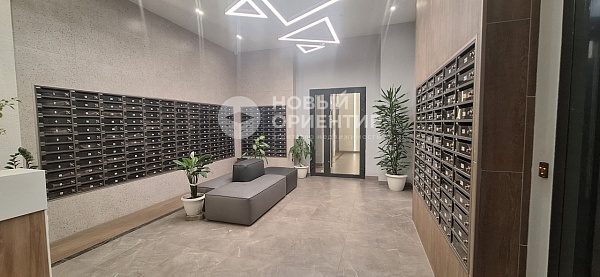 Объявление 221-11729