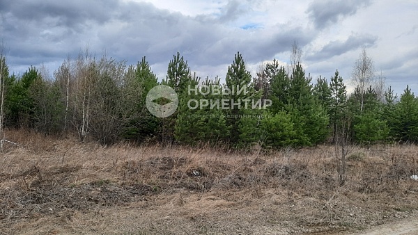 Объявление 221-11125