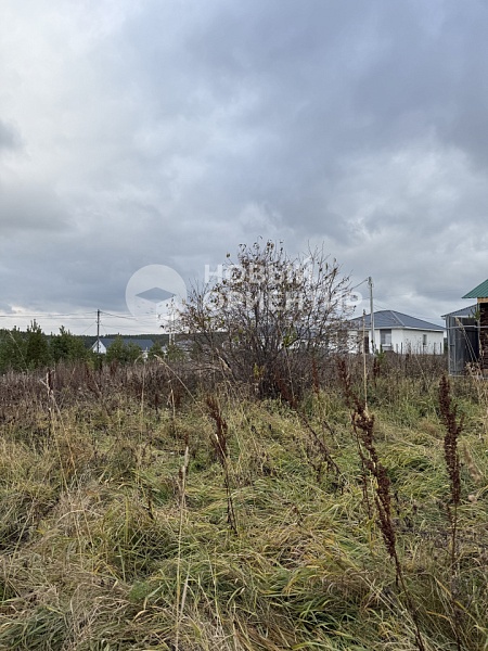 Объявление 221-11885