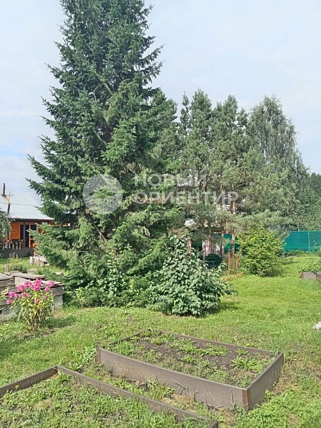 Объявление 221-10819