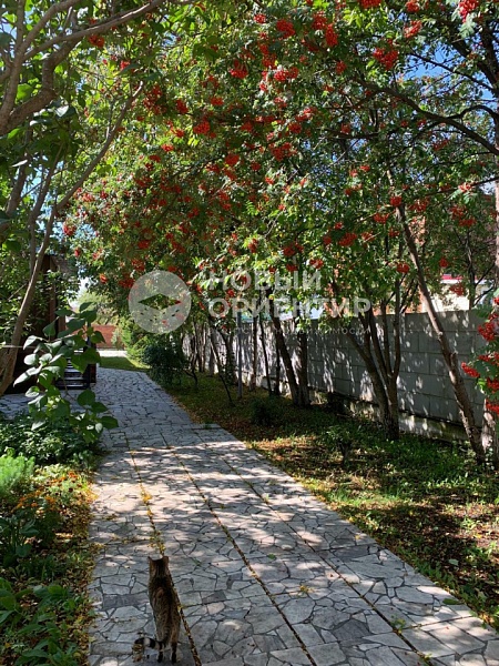 Объявление 221-11142