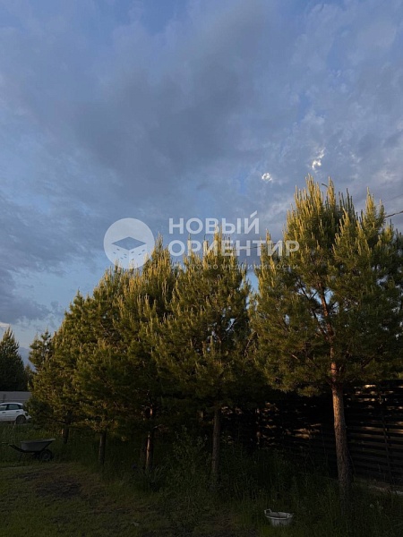 Объявление 221-12336