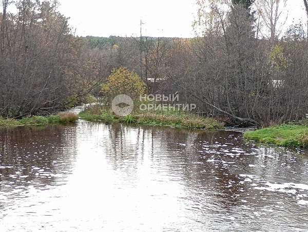 Объявление 221-11778