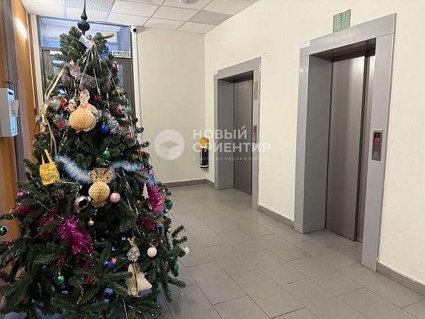 Объявление 221-12222