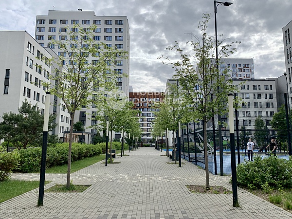 Объявление 221-11429