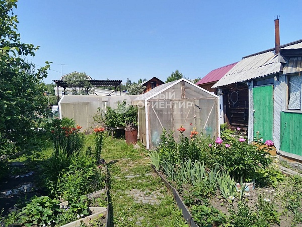 Объявление 221-12259