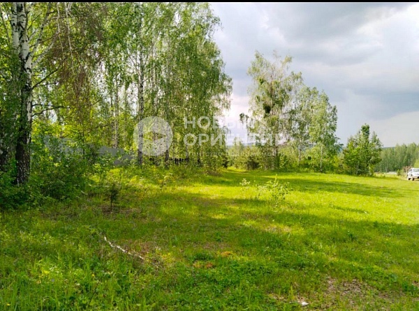 Объявление 221-10830