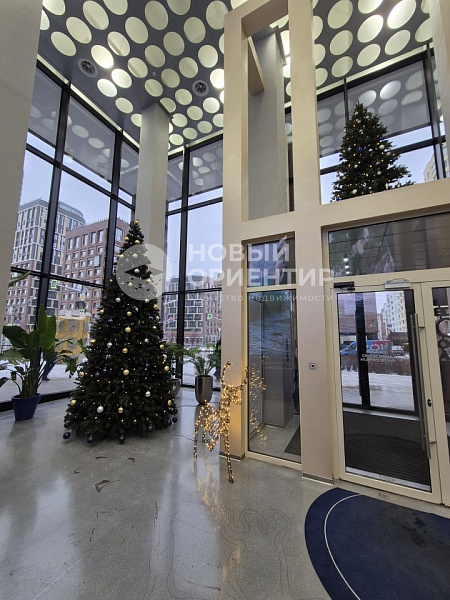 Объявление 221-12012