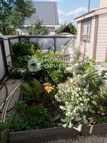 Объявление 221-11177