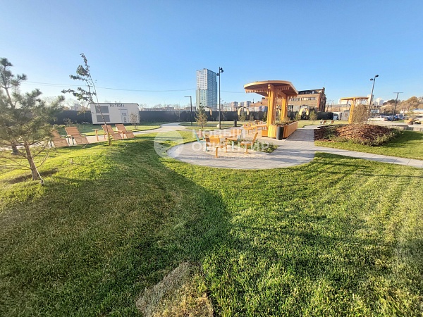 Объявление 221-11856