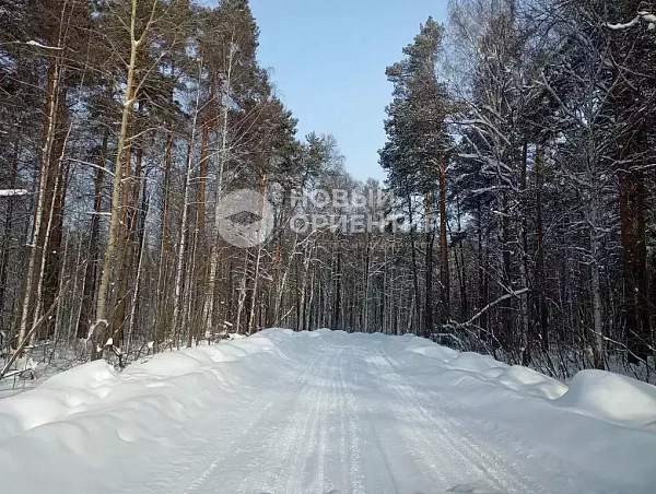 Объявление 221-12328