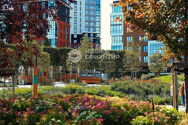 Объявление 221-12347