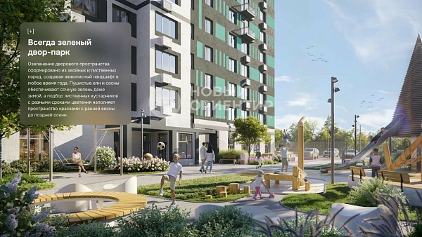 Объявление 221-12209