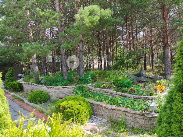 Объявление 221-10665