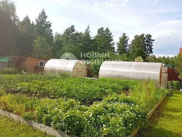 Объявление 221-12328