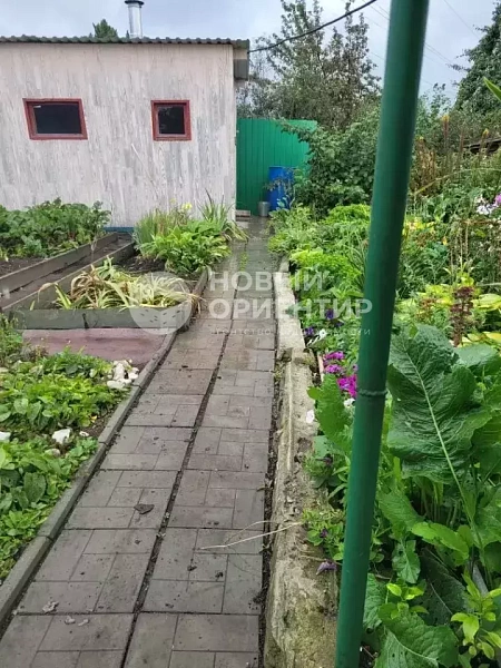 Объявление 221-12318