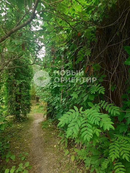 Объявление 221-11853