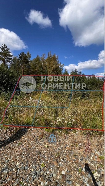 Объявление 221-11055