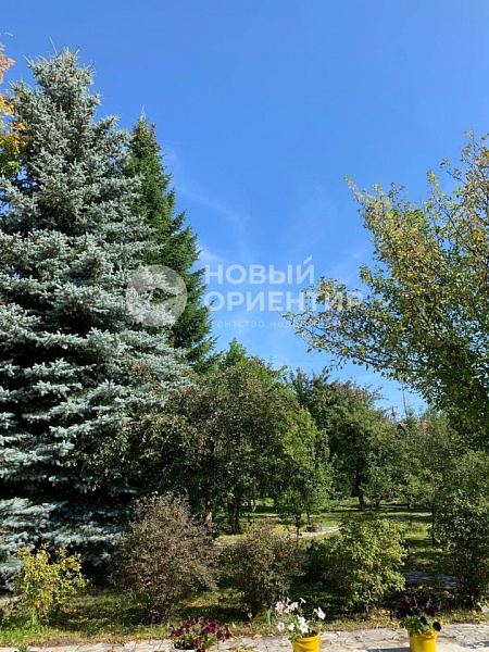 Объявление 221-11142