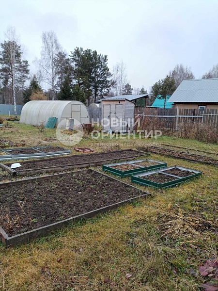 Объявление 221-11914