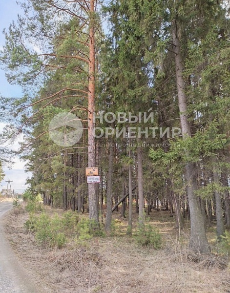 Объявление 221-11101