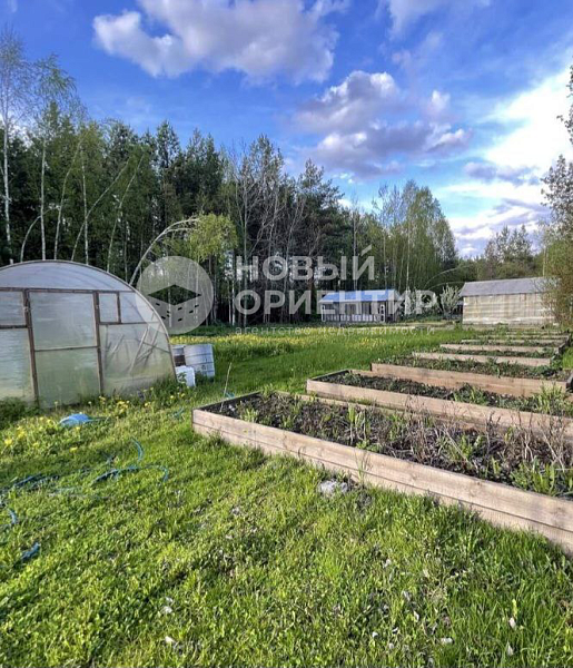 Объявление 221-12263