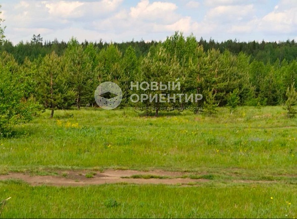 Объявление 221-10746