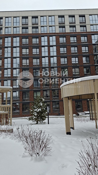 Объявление 221-12001