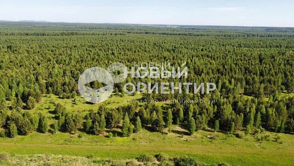 Объявление 221-10507