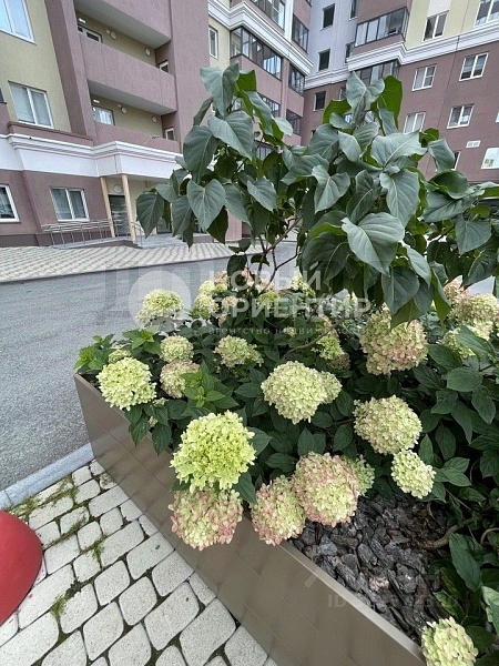 Объявление 221-11872