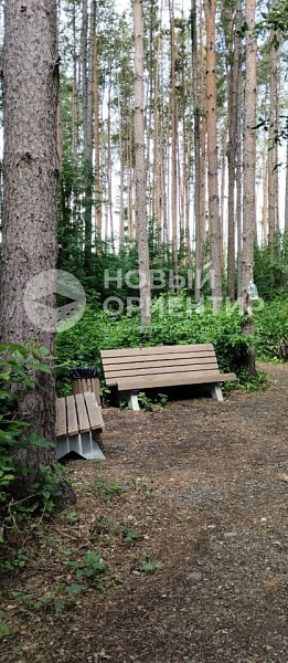 Объявление 221-11483