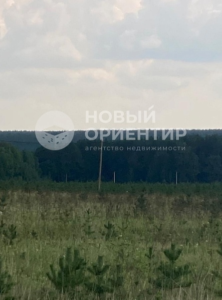 Объявление 221-10828