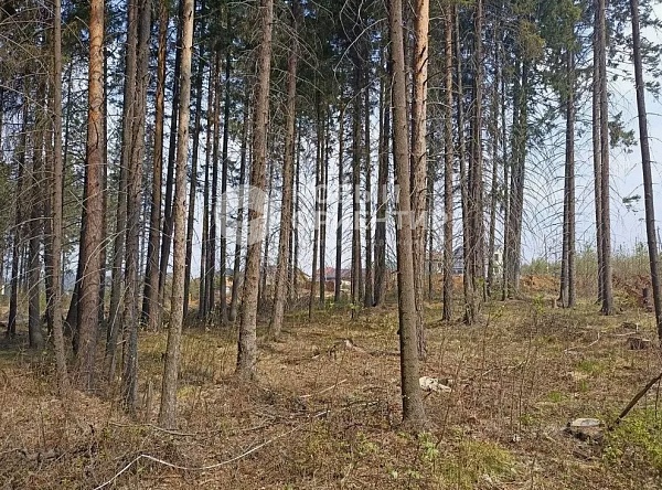 Объявление 221-11100