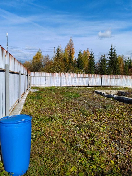 Объявление 221-11767