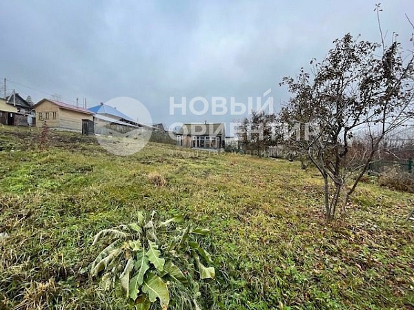 Объявление 221-11728