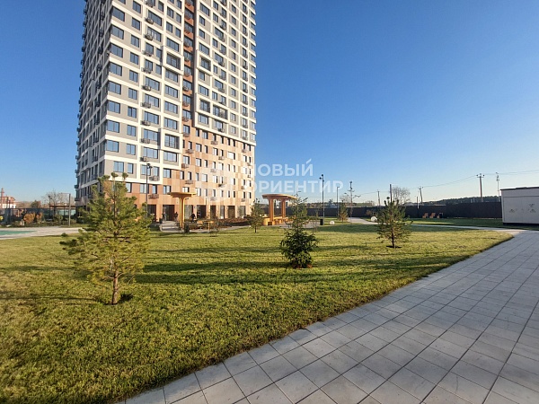 Объявление 221-11856