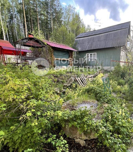 Объявление 221-12263