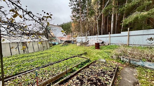 Объявление 221-11810