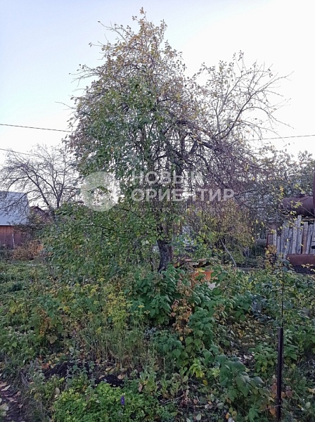 Объявление 221-10064