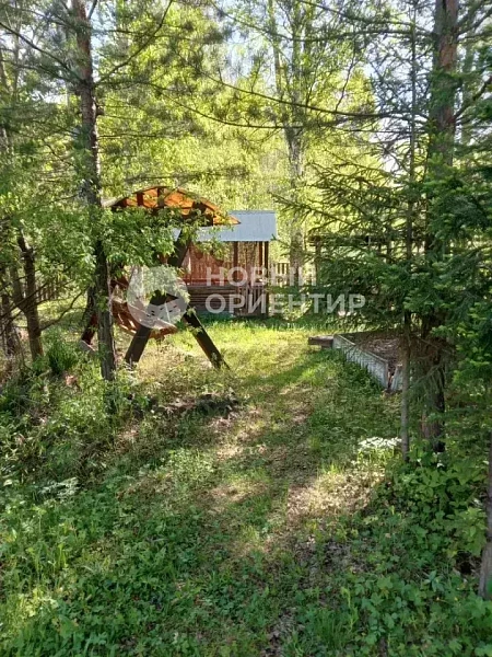 Объявление 221-12342