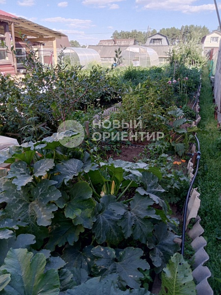 Объявление 221-11177