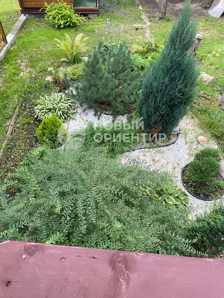 Объявление 221-10819