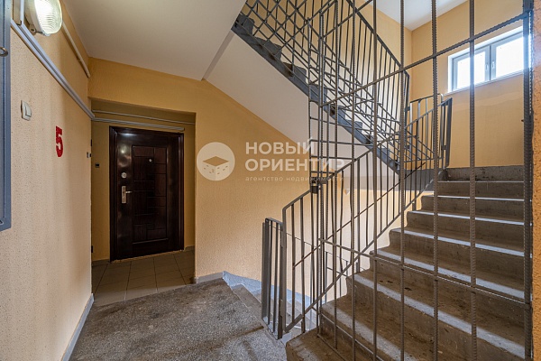 Объявление 221-11557