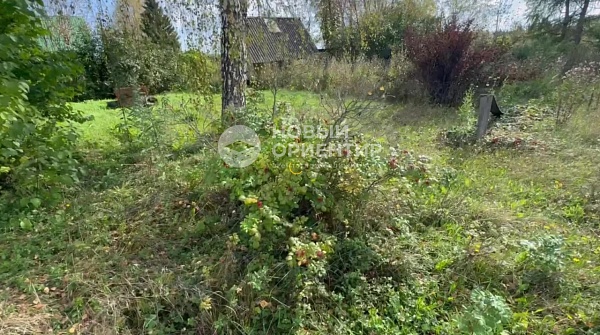 Объявление 221-11738