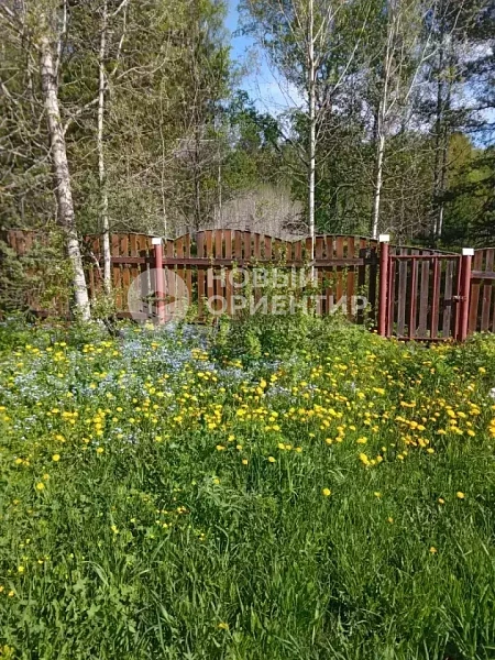 Объявление 221-12342