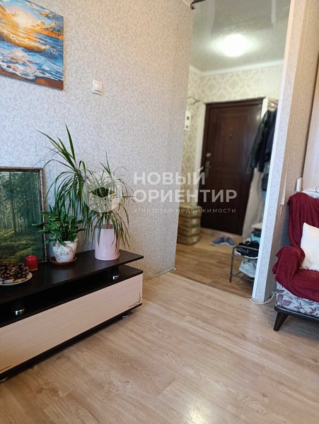 Объявление 221-11567